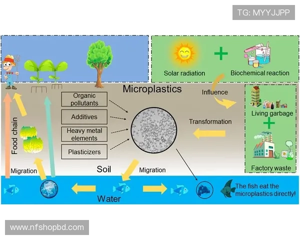 TVT体育登录线路常见问题及快速解决方法指南