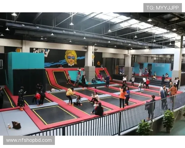 乐动体育蹦床品牌介绍及其在市场中的竞争优势分析