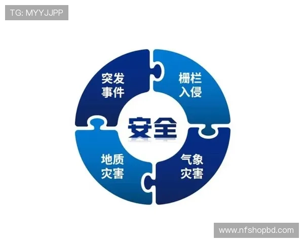 欧博abg备用平台的技术升级与安全措施,确保平台稳定运行与用户信息安全